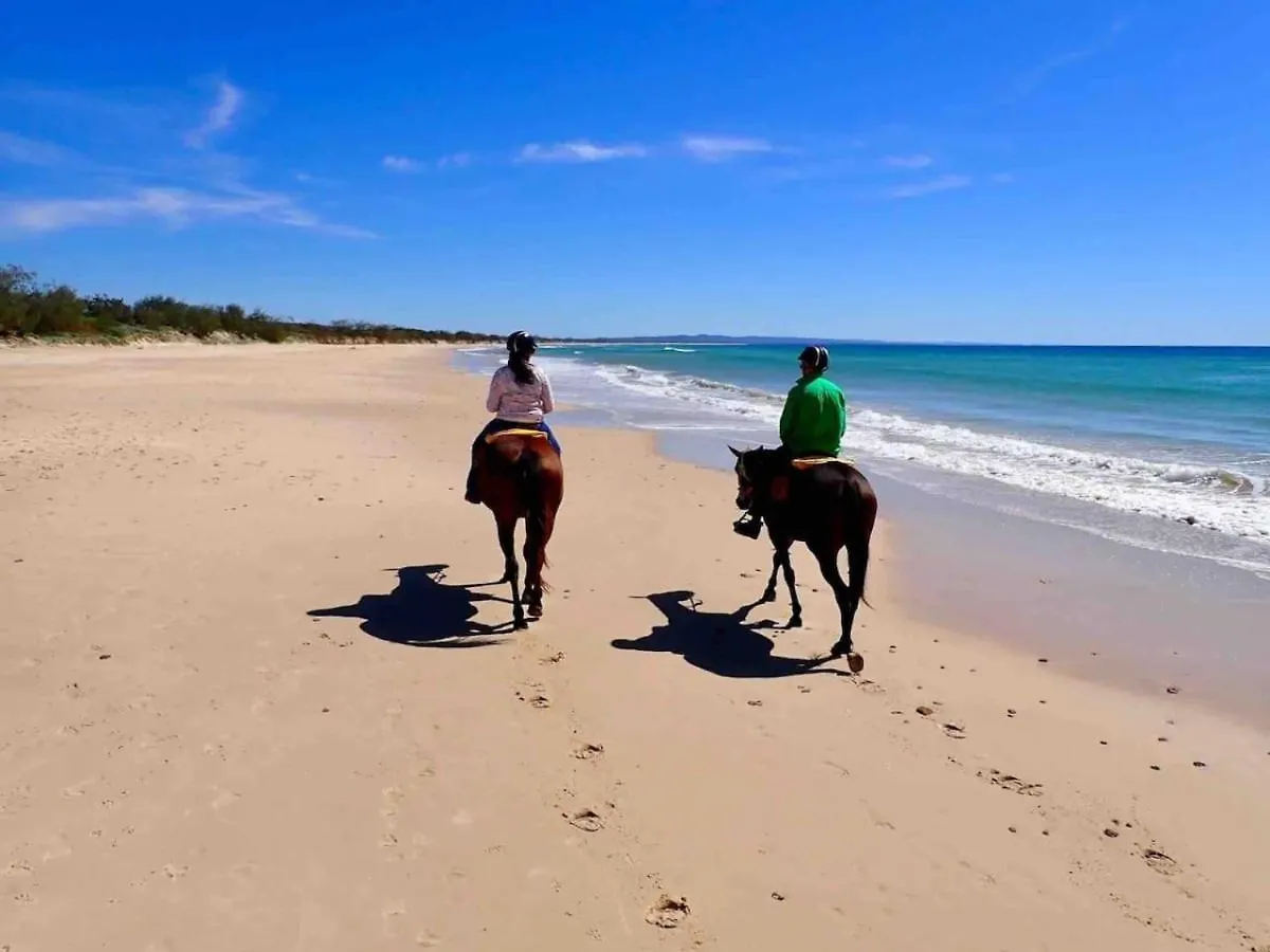 Ocean Breeze At Rainbow Beach 0*,